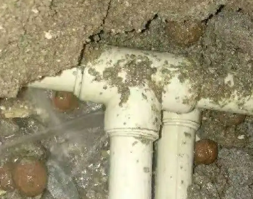 沙洋测漏水多少钱