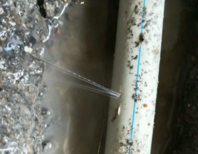 沙洋测漏水哪家好