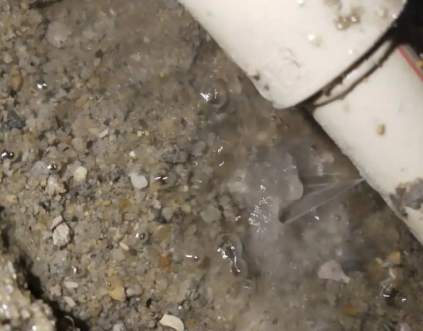 沙洋测漏水电话号码