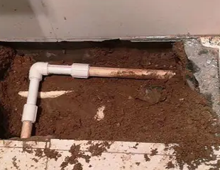 沙洋测漏水哪家好