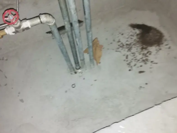 沙洋卫生间测漏水价格明细