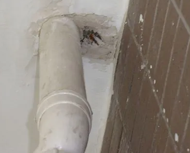 沙洋漏水检测哪家好