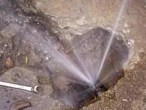 沙洋水管漏水检测哪家好